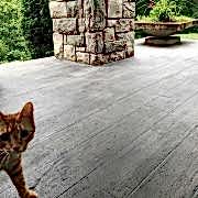 This is the image description