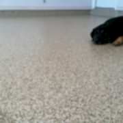 epoxy-chip-flooring-St-Louis-MO