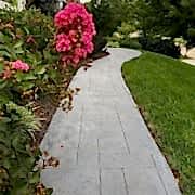 This is the image description