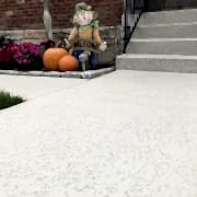 This is the image description