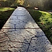 This is the image description