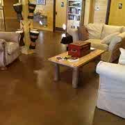 Stained-Concrete-Floor-Boulder-Crest-Wounded-Warriors-Retreat